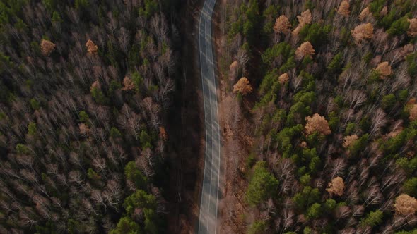 Panorama of autumn forest and road in Ural