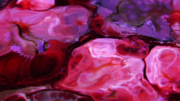 Swirling And Explosion Colour Of Mixed Paint 