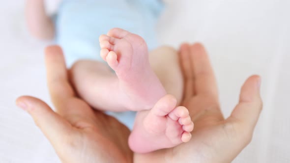 Newborn Baby Feet In Mother's Hands. Closeup