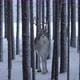 White Deer Standing and Looking at Passing Cars From a Pine Forest in Finland - VideoHive Item for Sale