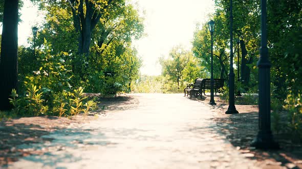 Empty Footpath in Park at Summer