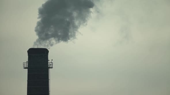 Smoke Comes From the Chimney. Air Pollution. Slow Motion. Ecology. Kyiv. Ukraine