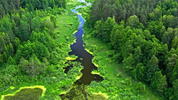 Green algae on lake in summer, aerial view of Poland