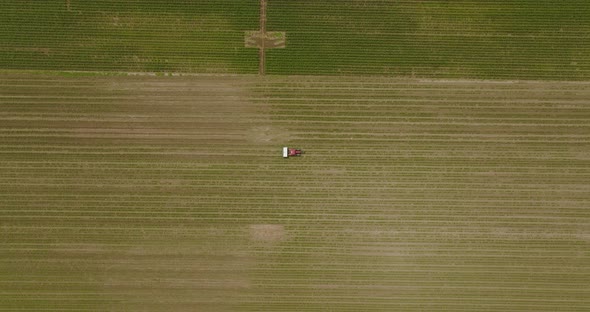 Tractor spreading fertilizer over a large Corn field, Aerial follow footage.