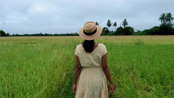 Asian Women with Hat in Beautiful Green Paddy Field in Thailand Women Walking at Rice Field