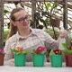 Young Farmer Inspects Flower Seedlings and Sprinkles Them with Water - VideoHive Item for Sale