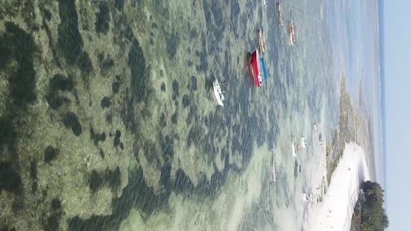 Zanzibar Tanzania  Vertical Video of the Ocean Near the Coast Slow Motion