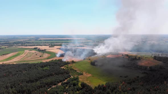 Aerial View of Fire in Wheat Field. Flying Over Smoke Above Agricultural Fields