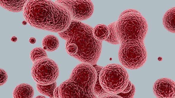 Anatomy of blood plasma in a human artery or vein.