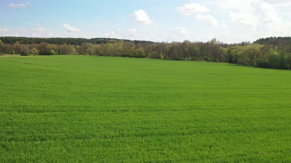 Slow Flight Over a Green Sown Field