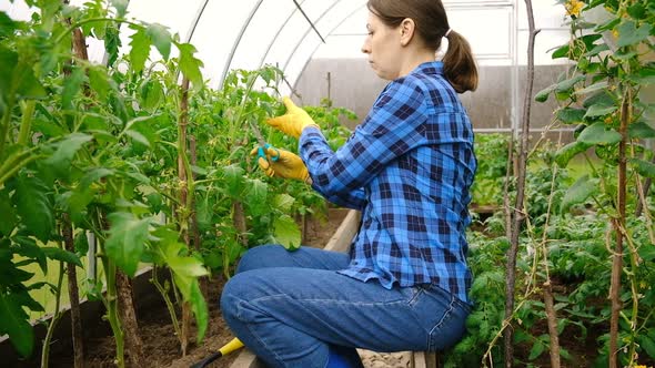 Pretty Young Woman Gardening in a Greenhouse