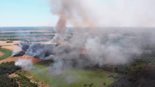 Aerial View of Fire in Wheat Field. Flying Over Smoke Above Agricultural Fields