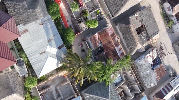 Zanzibar Tanzania  Houses on Tropical Island Slow Motion