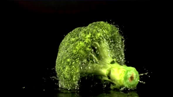 Super Slow Motion One Broccoli Falls on the Table with Splashes of Water