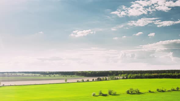 Countryside Rural Field Landscape With Young Wheat Sprouts In Spring Summer Cloudy Day. Agricultural