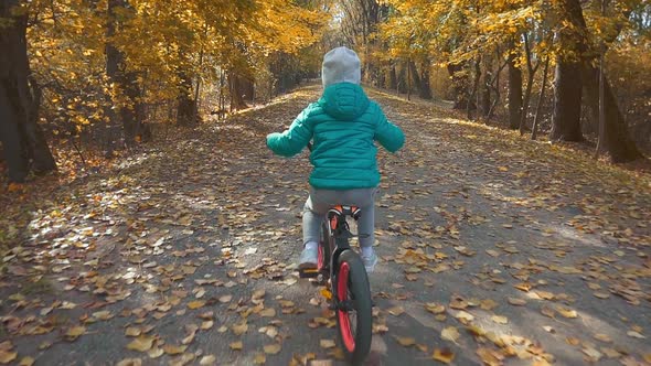 Back view of a girl riding a bicycle in an autumn park. alt