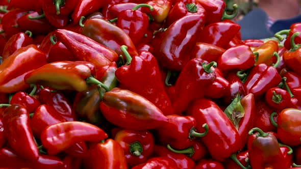 Heap of Red Ripe Bell Peppers Close Up