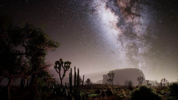 The Milky Way Above the Utah Desert, USA alt