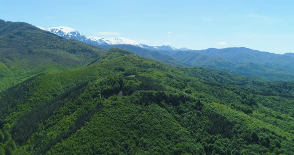 Panoramic View of Snowy Mountain Range and Magnificent Green Forest and Hills. Majestic Mountain