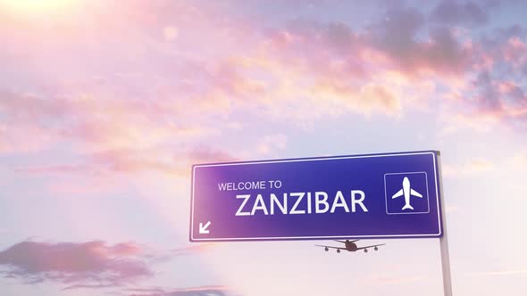 Zanzibar City Sign Plane Landing in Daylight