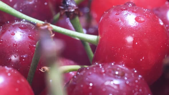 A Ripe Cherry Rotates in a Circle Top View