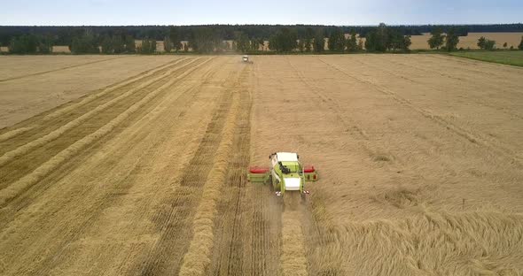 Aerial View Harvesting Combine Working in Gold Wheat Field