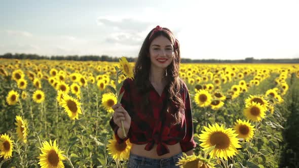 Beautiful Lady Walking in Summer Sunflower Field