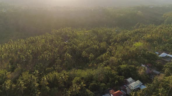 Rice Fields with Agricultural Land in Indonesia