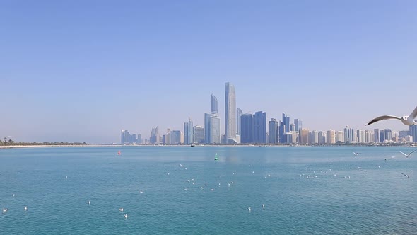 Abu Dhabi Cityscape During Sunny Day with Seagulls Flying Around View From Seaside