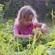 Child girl is eating strawberries sitting squatted down in the garden. - VideoHive Item for Sale