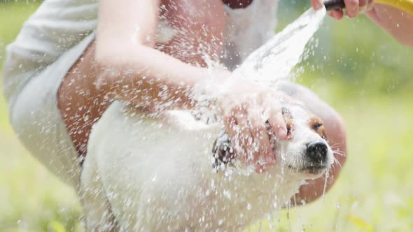 Woman Wash Dog in the Garden