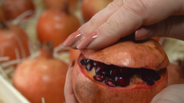 Female Hands Are Taking Off a Top Peel From a Juicy Red Pomegranate