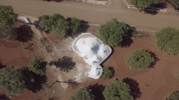 Aerial view Trullo Puglia Traditional italian white stone houses in olive grove South Italy summer