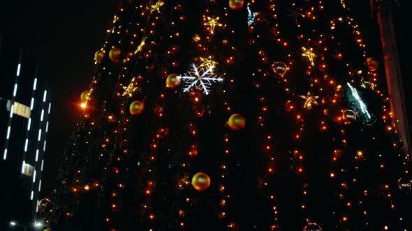 Fir Tree Beautifully Decorated with Silver Lights a Modern Building in the Background