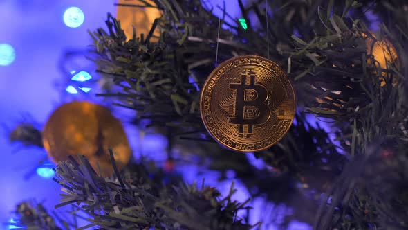 Coins Hang on Christmas Tree Under Falling Snow Closeup