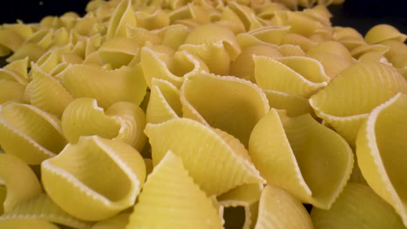 A pile of dried conchiglie pasta shells.