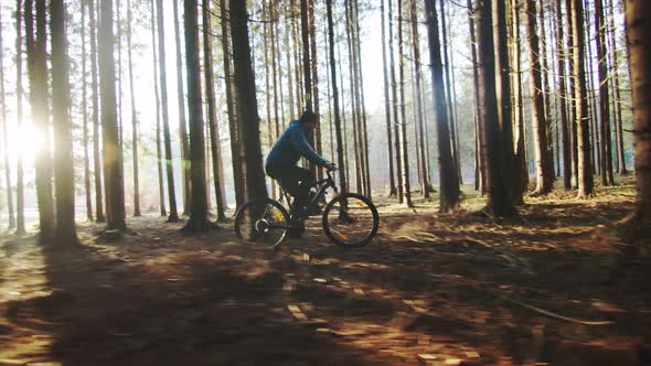 Off Road Cyclist In The Forest