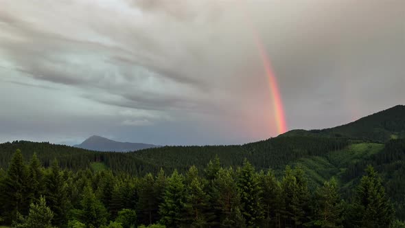 Rainbow over Forest Time Lapse. Sky after Storm Rain