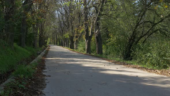 Kraljevica hill and forest in Eastern Serbian city of Zajecar 4K 2160p UHD video - Kraljevica in Zaj