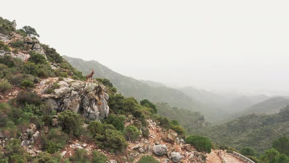 Drone Flight Over Rolling Misty Landscape