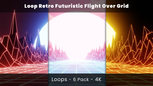 Loop Retro Futuristic Flight Over Grid - Pack 6