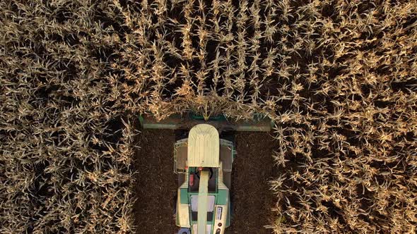 Combine Harvester Harvesting Ripe Corn In Agricultural Field At Sunset