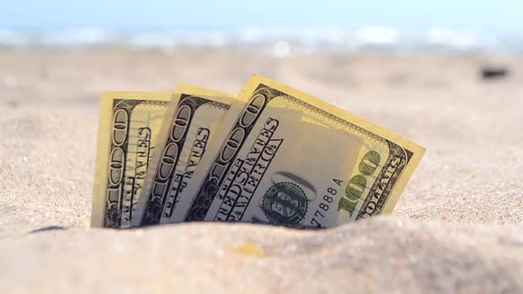 Money Dolars Half Covered with Sand Lie on Beach Closeup