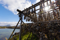 Cod fish drying on traditional wooden racks in the sun in Lofoten Islands, Norway, Europe - PhotoDune Item for Sale
