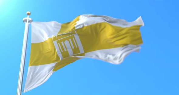 Stavropol Flag, Russia