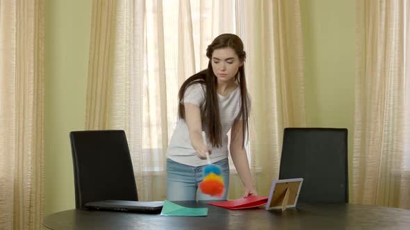 Young Woman with Dust Brush.