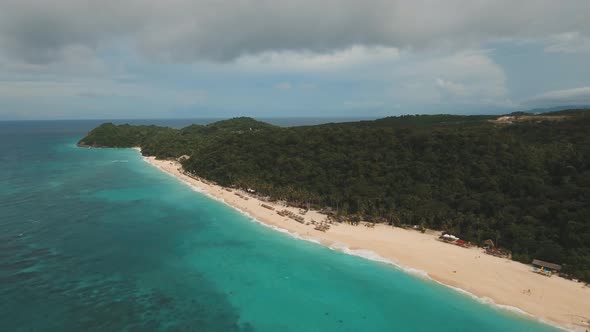 Tropical Sand Beach with Palm Trees