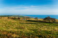 The view from Abbotsbury Hill in Dorset - PhotoDune Item for Sale