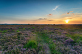 Summer sunset over Winfrith Heath - PhotoDune Item for Sale