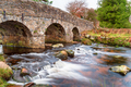 An arched bridge at Postbridge on Dartmoor - PhotoDune Item for Sale